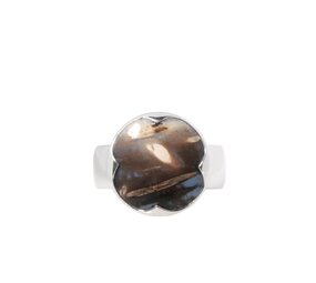 Zilveren ring versteend palm hout maat 18 | rond 1,6 cm
