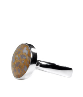 Versteend hout ringen