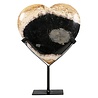 Versteend palmhout hart op standaard 15 x 15 x 1,5 cm | 582 gram Versteend palmhout hart op standaard 15 x 15 x 1,5 cm | 582 gram