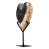 Versteend palmhout hart op standaard 15,5 x 15,5 x 1,5 cm | 602 gram Versteend palmhout hart op standaard 15,5 x 15,5 x 1,5 cm | 602 gram