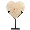Versteend palmhout hart op standaard 15,5 x 15,5 x 1,5 cm | 634 gram Versteend palmhout hart op standaard 15,5 x 15,5 x 1,5 cm | 634 gram