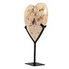 Versteend palmhout hart op standaard 15,5 x 15,5 x 1,5 cm | 634 gram Versteend palmhout hart op standaard 15,5 x 15,5 x 1,5 cm | 634 gram