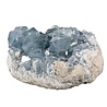 Celestien cluster 16 x 12 x 7 cm | 3031 gram Celestien cluster 16 x 12 x 7 cm | 3031 gram