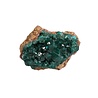 Dioptaas A-kwaliteit kristallen op matrix 10 - 20 gram Dioptaas A-kwaliteit kristallen op matrix 10 - 20 gram