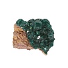 Dioptaas A-kwaliteit kristallen op matrix 20 - 40 gram Dioptaas A-kwaliteit kristallen op matrix 20 - 40 gram