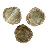 Diaspoor schijfje 5,5 - 6 cm Diaspoor schijfje 5,5 - 6 cm