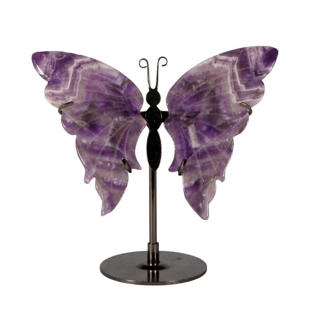 Amethist (chevron) vlinder op standaard Amethist (chevron) vlinder op standaard