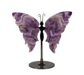 Amethist (chevron) vlinder op standaard Amethist (chevron) vlinder op standaard