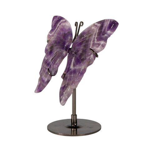 Amethist (chevron) vlinder op standaard Amethist (chevron) vlinder op standaard