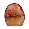 Carneool sculptuur 9,5 x 8,5 x 5 cm | 548 gram Carneool sculptuur 9,5 x 8,5 x 5 cm | 548 gram