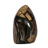 Septarie sculptuur 10,5 x 7 x 6,5 cm | 534 gram Septarie sculptuur 10,5 x 7 x 6,5 cm | 534 gram