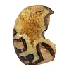 Septarie sculptuur 12 x 9,5 x 7 cm | 814 gram Septarie sculptuur 12 x 9,5 x 7 cm | 814 gram