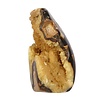 Septarie sculptuur 12 x 9,5 x 7 cm | 814 gram Septarie sculptuur 12 x 9,5 x 7 cm | 814 gram