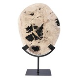 Versteend hout schijf gepolijst op standaard 25 x 20 x 2 cm | 1762 gram Versteend hout schijf gepolijst op standaard 25 x 20 x 2 cm | 1762 gram