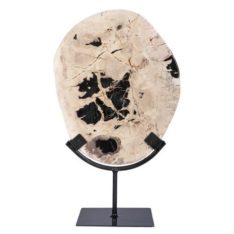 Versteend hout schijf gepolijst op standaard 25 x 20 x 2 cm | 1762 gram Versteend hout schijf gepolijst op standaard 25 x 20 x 2 cm | 1762 gram