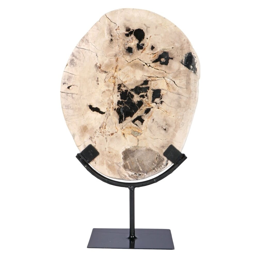 Versteend hout schijf gepolijst op standaard 25 x 20 x 2 cm | 1762 gram Versteend hout schijf gepolijst op standaard 25 x 20 x 2 cm | 1762 gram