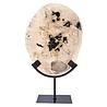 Versteend hout schijf gepolijst op standaard 25 x 20 x 2 cm | 1762 gram Versteend hout schijf gepolijst op standaard 25 x 20 x 2 cm | 1762 gram
