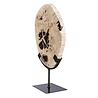 Versteend hout schijf gepolijst op standaard 25 x 20 x 2 cm | 1762 gram Versteend hout schijf gepolijst op standaard 25 x 20 x 2 cm | 1762 gram