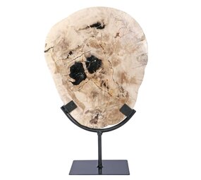 Versteend hout schijf gepolijst op standaard 25,5 x 21 x 2 cm | 1956 gram