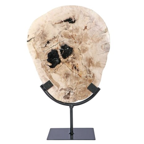 Versteend hout schijf gepolijst op standaard 25,5 x 21 x 2 cm | 1956 gram