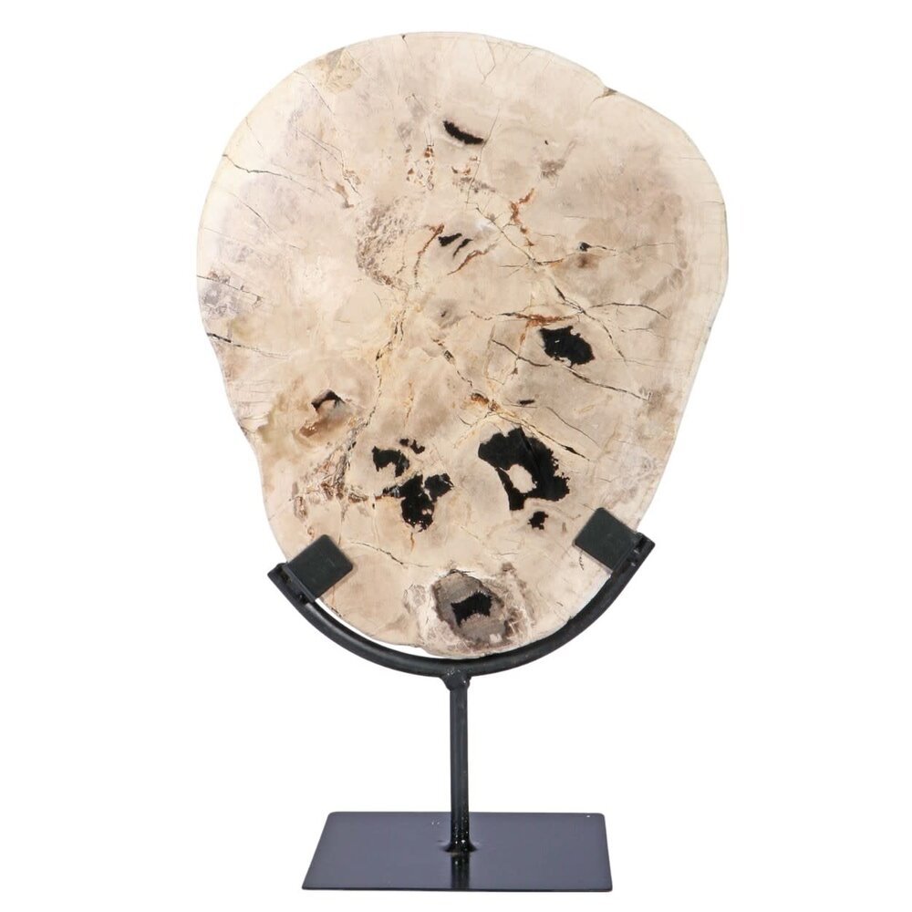 Versteend hout schijf gepolijst op standaard 25,5 x 21 x 2 cm | 1956 gram