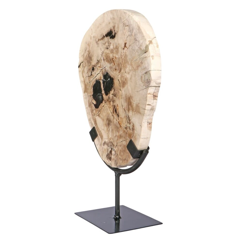 Versteend hout schijf gepolijst op standaard 25,5 x 21 x 2 cm | 1956 gram