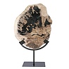 Versteend hout schijf gepolijst op standaard 25 x 21 x 2 cm | 2192 gram Versteend hout schijf gepolijst op standaard 25 x 21 x 2 cm | 2192 gram