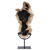 Versteend hout schijf gepolijst op standaard 34,5 x 17 x 2 cm | 2239 gram Versteend hout schijf gepolijst op standaard 34,5 x 17 x 2 cm | 2239 gram