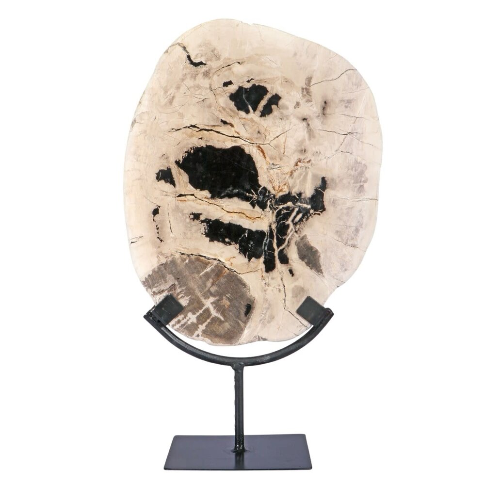 Versteend hout schijf gepolijst op standaard 27 x 22,5 x 2 cm | 2559 gram Versteend hout schijf gepolijst op standaard 27 x 22,5 x 2 cm | 2559 gram