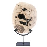 Versteend hout schijf gepolijst op standaard 27 x 22,5 x 2 cm | 2559 gram Versteend hout schijf gepolijst op standaard 27 x 22,5 x 2 cm | 2559 gram