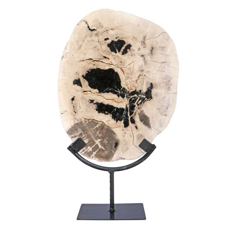 Versteend hout schijf gepolijst op standaard 27 x 22,5 x 2 cm | 2559 gram Versteend hout schijf gepolijst op standaard 27 x 22,5 x 2 cm | 2559 gram