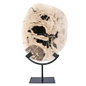 Versteend hout schijf gepolijst op standaard 27 x 22,5 x 2 cm | 2559 gram Versteend hout schijf gepolijst op standaard 27 x 22,5 x 2 cm | 2559 gram