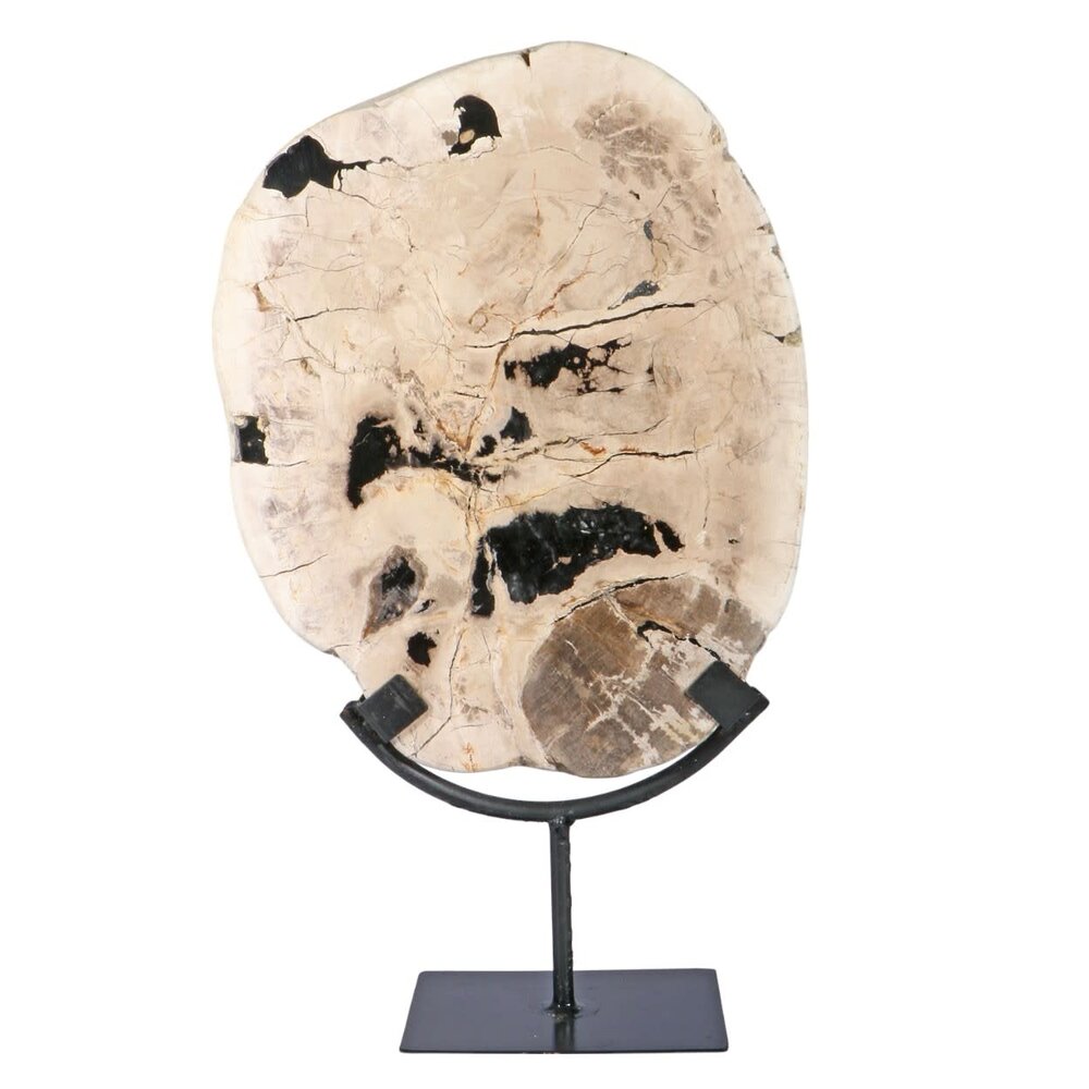 Versteend hout schijf gepolijst op standaard 27 x 22,5 x 2 cm | 2559 gram Versteend hout schijf gepolijst op standaard 27 x 22,5 x 2 cm | 2559 gram