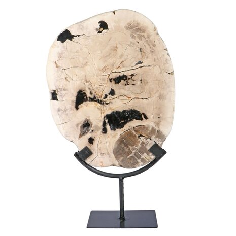 Versteend hout schijf gepolijst op standaard 27 x 22,5 x 2 cm | 2559 gram Versteend hout schijf gepolijst op standaard 27 x 22,5 x 2 cm | 2559 gram