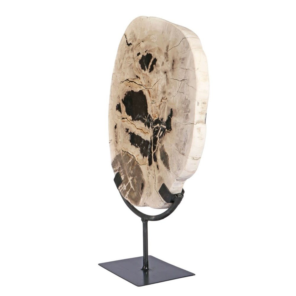 Versteend hout schijf gepolijst op standaard 27 x 22,5 x 2 cm | 2559 gram Versteend hout schijf gepolijst op standaard 27 x 22,5 x 2 cm | 2559 gram