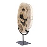 Versteend hout schijf gepolijst op standaard 27 x 22,5 x 2 cm | 2559 gram Versteend hout schijf gepolijst op standaard 27 x 22,5 x 2 cm | 2559 gram