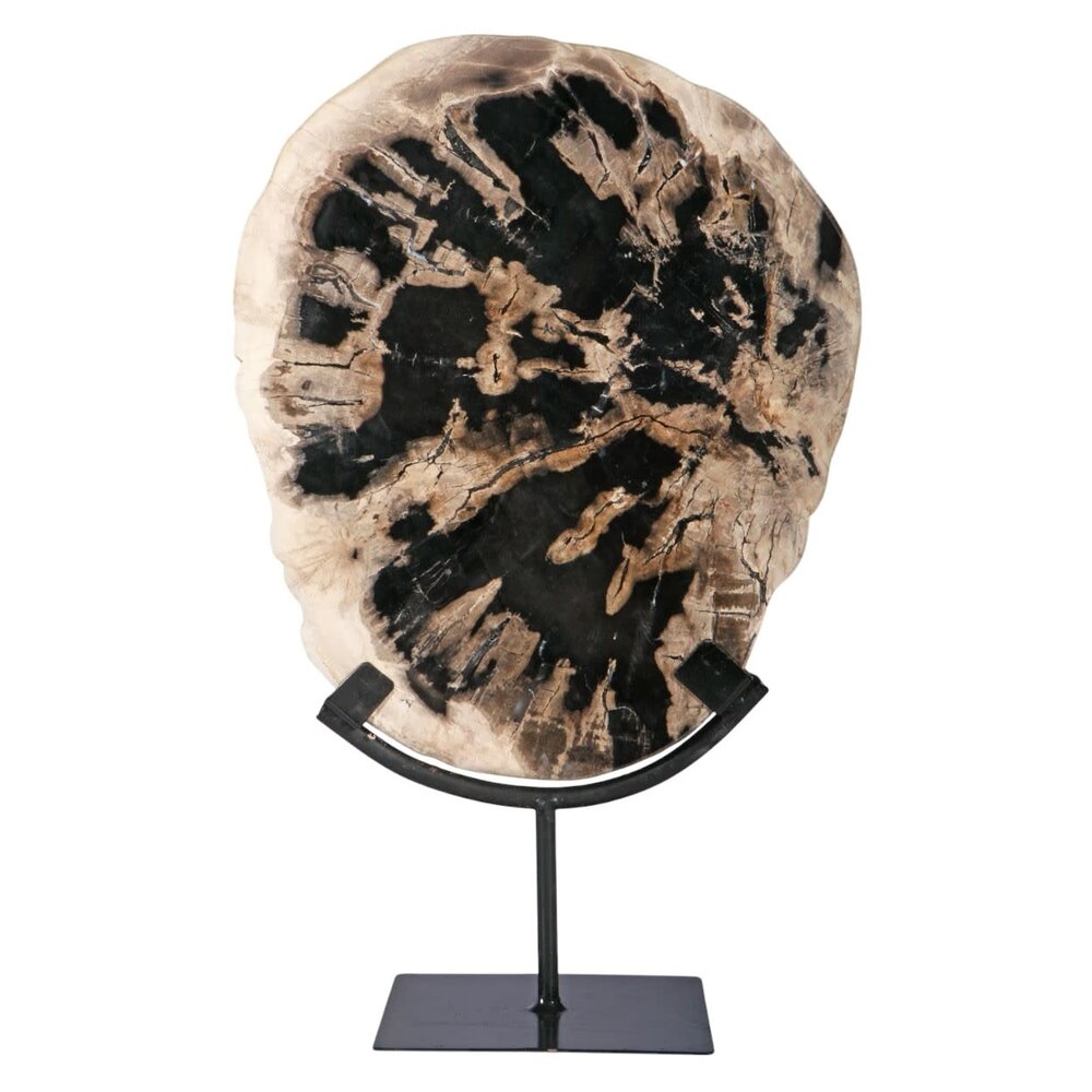 Versteend hout schijf gepolijst op standaard 27,5 x 23 x 2 cm | 2561 gram Versteend hout schijf gepolijst op standaard 27,5 x 23 x 2 cm | 2561 gram