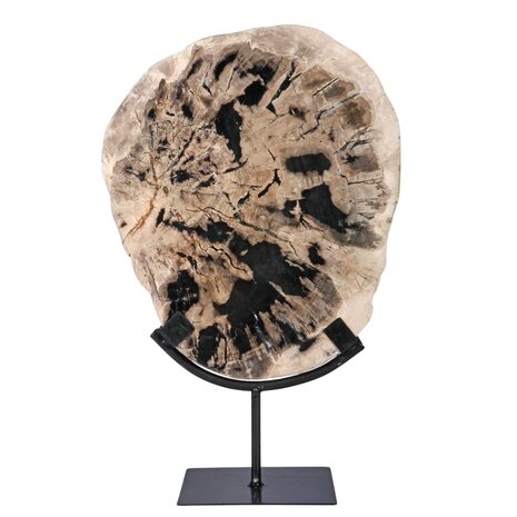 Versteend hout schijf gepolijst op standaard 27,5 x 23 x 2 cm | 2561 gram Versteend hout schijf gepolijst op standaard 27,5 x 23 x 2 cm | 2561 gram