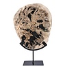 Versteend hout schijf gepolijst op standaard 27,5 x 23 x 2 cm | 2561 gram Versteend hout schijf gepolijst op standaard 27,5 x 23 x 2 cm | 2561 gram