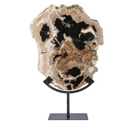 Versteend hout schijf gepolijst op standaard 27,5 x 23 x 2 cm | 2613 gram Versteend hout schijf gepolijst op standaard 27,5 x 23 x 2 cm | 2613 gram