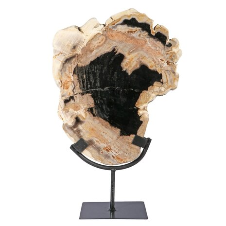 Versteend hout schijf gepolijst op standaard 29 x 23,5 x 2 cm | 2720 gram Versteend hout schijf gepolijst op standaard 29 x 23,5 x 2 cm | 2720 gram