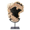 Versteend hout schijf gepolijst op standaard 29 x 23,5 x 2 cm | 2720 gram Versteend hout schijf gepolijst op standaard 29 x 23,5 x 2 cm | 2720 gram