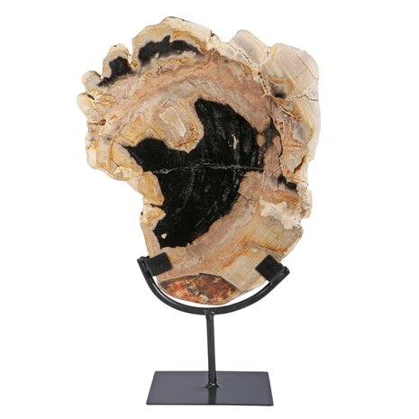 Versteend hout schijf gepolijst op standaard 29 x 23,5 x 2 cm | 2720 gram Versteend hout schijf gepolijst op standaard 29 x 23,5 x 2 cm | 2720 gram