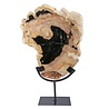 Versteend hout schijf gepolijst op standaard 29 x 23,5 x 2 cm | 2720 gram Versteend hout schijf gepolijst op standaard 29 x 23,5 x 2 cm | 2720 gram