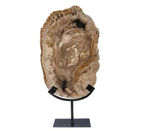Versteend hout schijf gepolijst op standaard 30,5 x 20 x 2 cm | 2753 gram Versteend hout schijf gepolijst op standaard 30,5 x 20 x 2 cm | 2753 gram