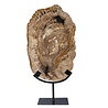 Versteend hout schijf gepolijst op standaard 30,5 x 20 x 2 cm | 2753 gram Versteend hout schijf gepolijst op standaard 30,5 x 20 x 2 cm | 2753 gram