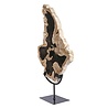 Versteend hout schijf gepolijst op standaard 37,5 x 26 x 2 cm | 2996 gram Versteend hout schijf gepolijst op standaard 37,5 x 26 x 2 cm | 2996 gram