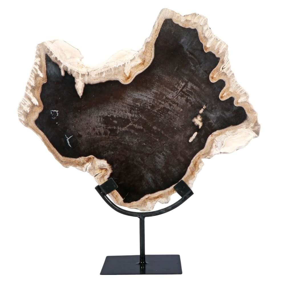 Versteend hout schijf gepolijst op standaard 37,5 x 32 x 2 cm | 3731 gram Versteend hout schijf gepolijst op standaard 37,5 x 32 x 2 cm | 3731 gram