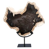 Versteend hout schijf gepolijst op standaard 37,5 x 32 x 2 cm | 3731 gram Versteend hout schijf gepolijst op standaard 37,5 x 32 x 2 cm | 3731 gram