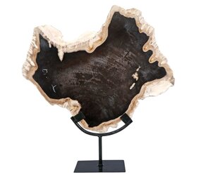 Versteend hout schijf gepolijst op standaard 37,5 x 32 x 2 cm | 3731 gram Versteend hout schijf gepolijst op standaard 37,5 x 32 x 2 cm | 3731 gram